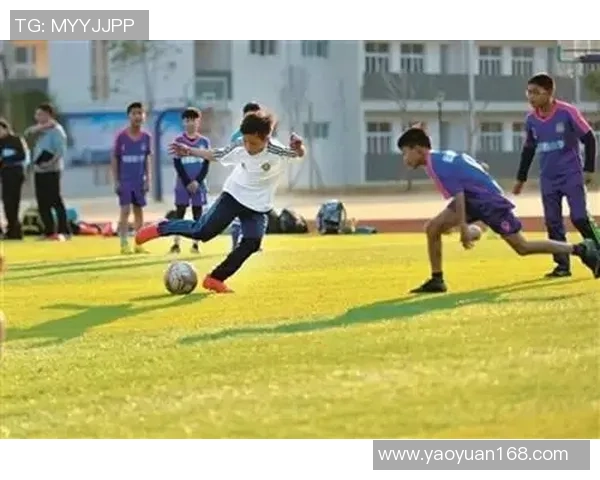 柳州足球球星成长历程与拼搏故事展现地方体育精神风采