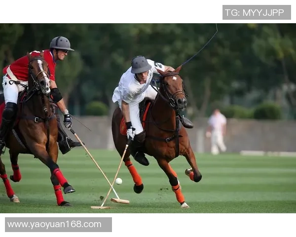 阿根廷足球巨星艾尔特加的崛起之路与国际赛场表现分析 阿根廷足球巨星艾尔特加的崛起之路与国际赛场表现分析