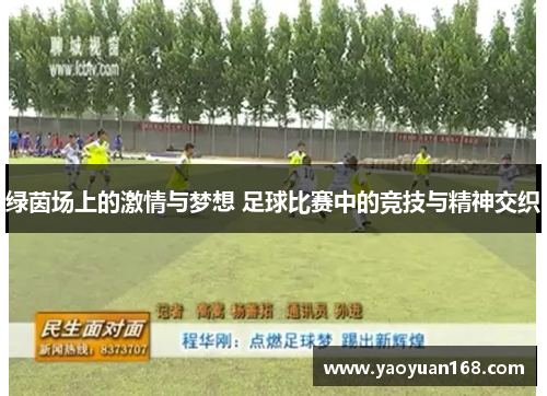 绿茵场上的激情与梦想 足球比赛中的竞技与精神交织