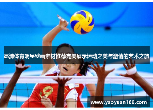 高清体育明星壁画素材推荐完美展示运动之美与激情的艺术之旅