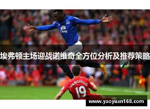 埃弗顿主场迎战诺维奇全方位分析及推荐策略